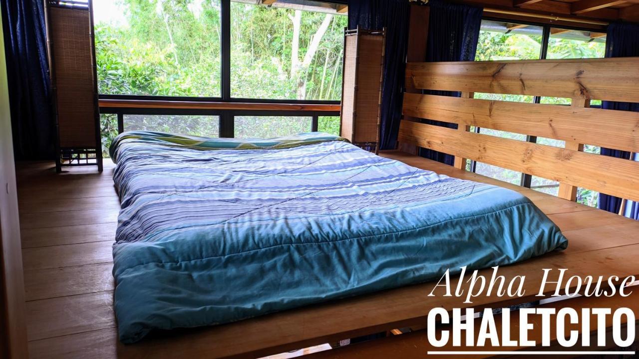 Ferienwohnung Alpha House Vilcabamba Exterior foto